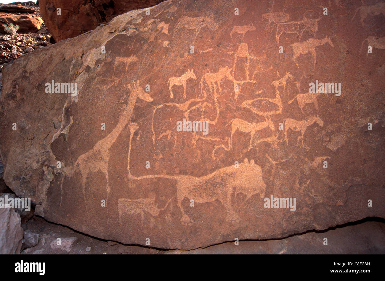 Twyfelfontein incisioni rupestri (incisioni rupestri, Tarda età della pietra, sito Patrimonio Mondiale dell'UNESCO, la regione di Kunene, Namibia Foto Stock