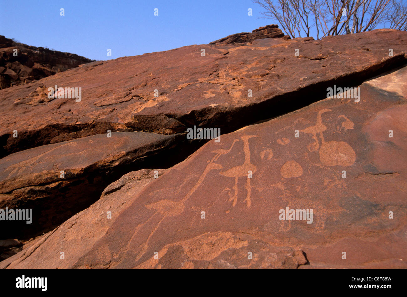 Twyfelfontein incisioni rupestri (incisioni rupestri, Tarda età della pietra, sito Patrimonio Mondiale dell'UNESCO, la regione di Kunene, Namibia Foto Stock