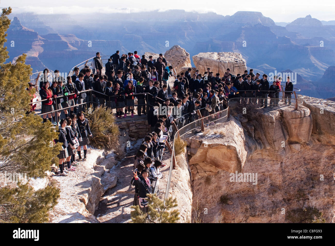 Tour giapponese di Gruppo al Mather Point, del Grand Canyon Foto Stock