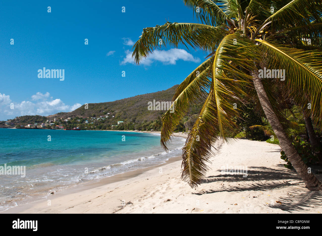 Friendship Bay beach, Bequia, Saint Vincent e Grenadine, isole Windward, West Indies, dei Caraibi e America centrale Foto Stock