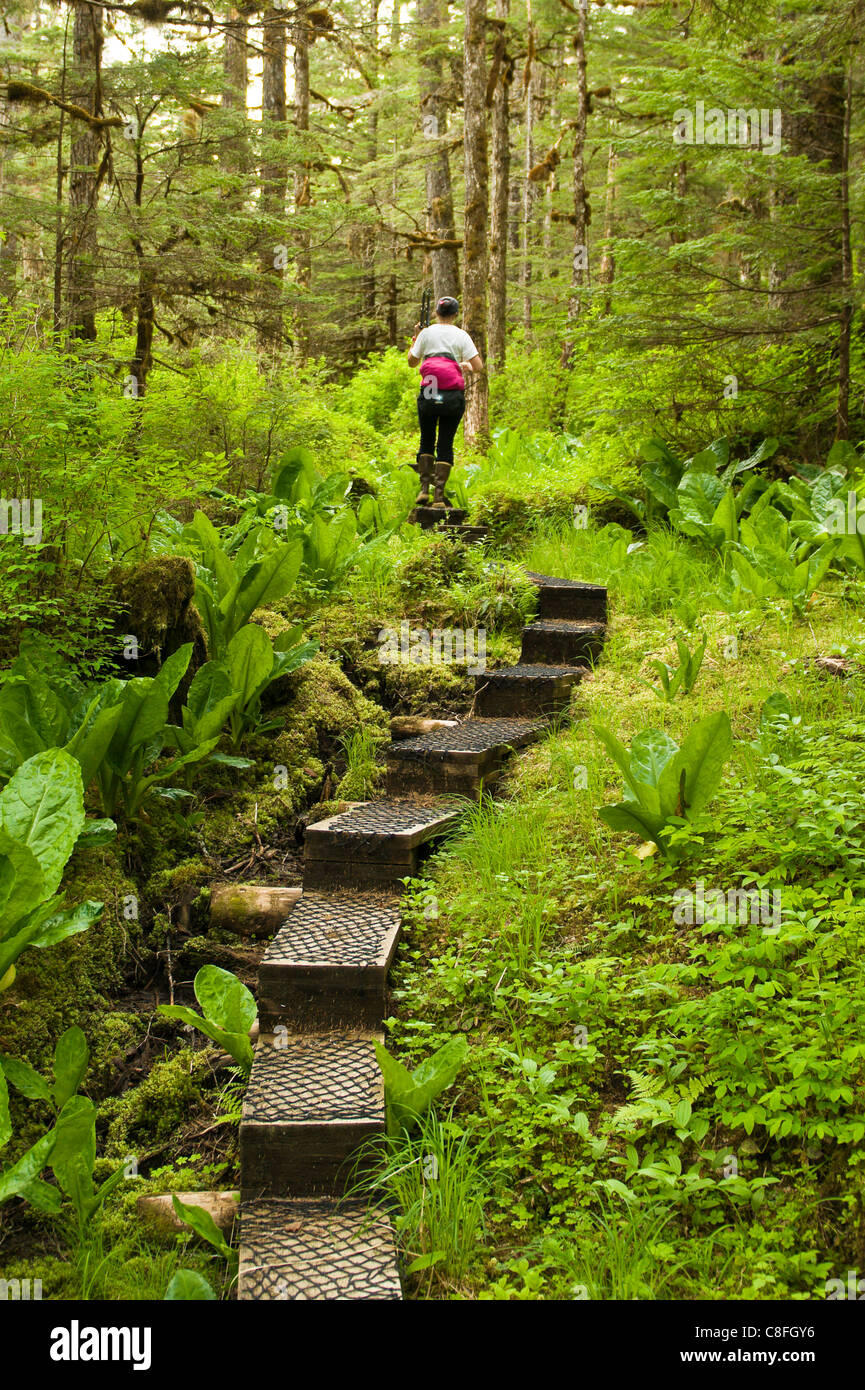 Escursioni nella Baia ideale area del sud-est Alaska, Alaska, Stati Uniti d'America Foto Stock