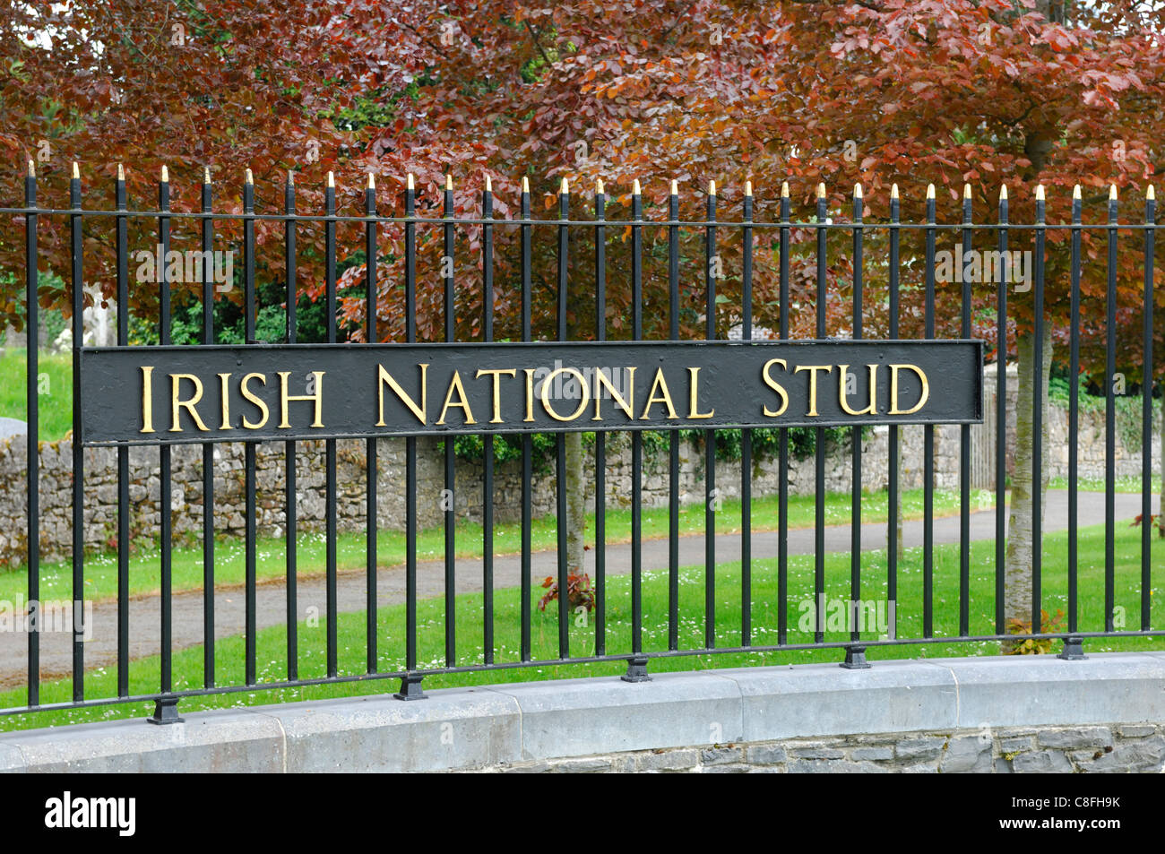 Porta alla Irish National Stud Foto Stock