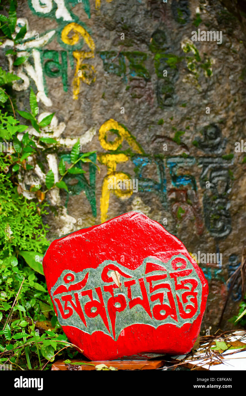 La preghiera buddista di pietra con il mantra bagnate dopo la pioggia Foto Stock