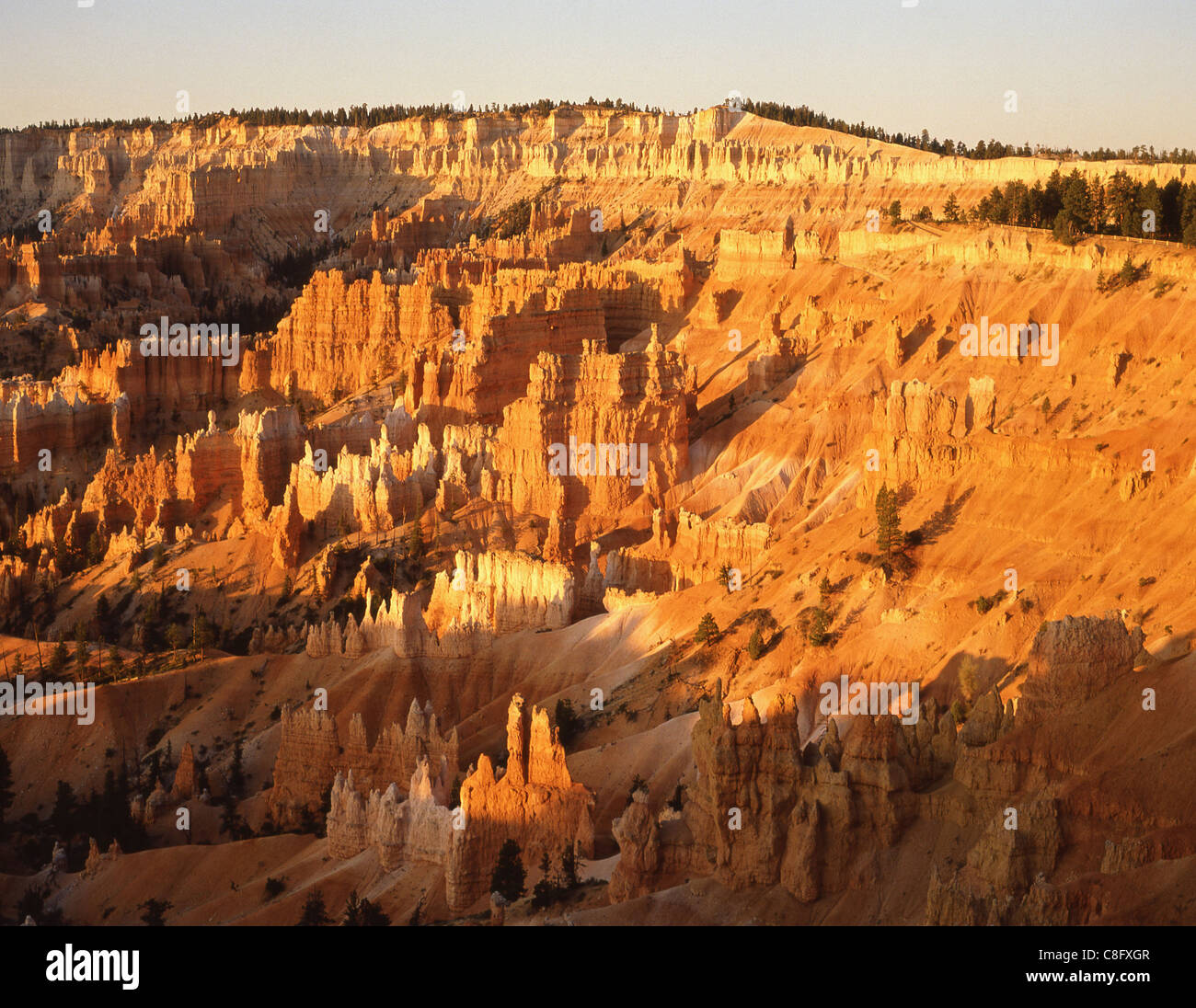 Punto di Bryce, Parco Nazionale di Bryce Canyon, Garfield County, Utah, Stati Uniti d'America Foto Stock
