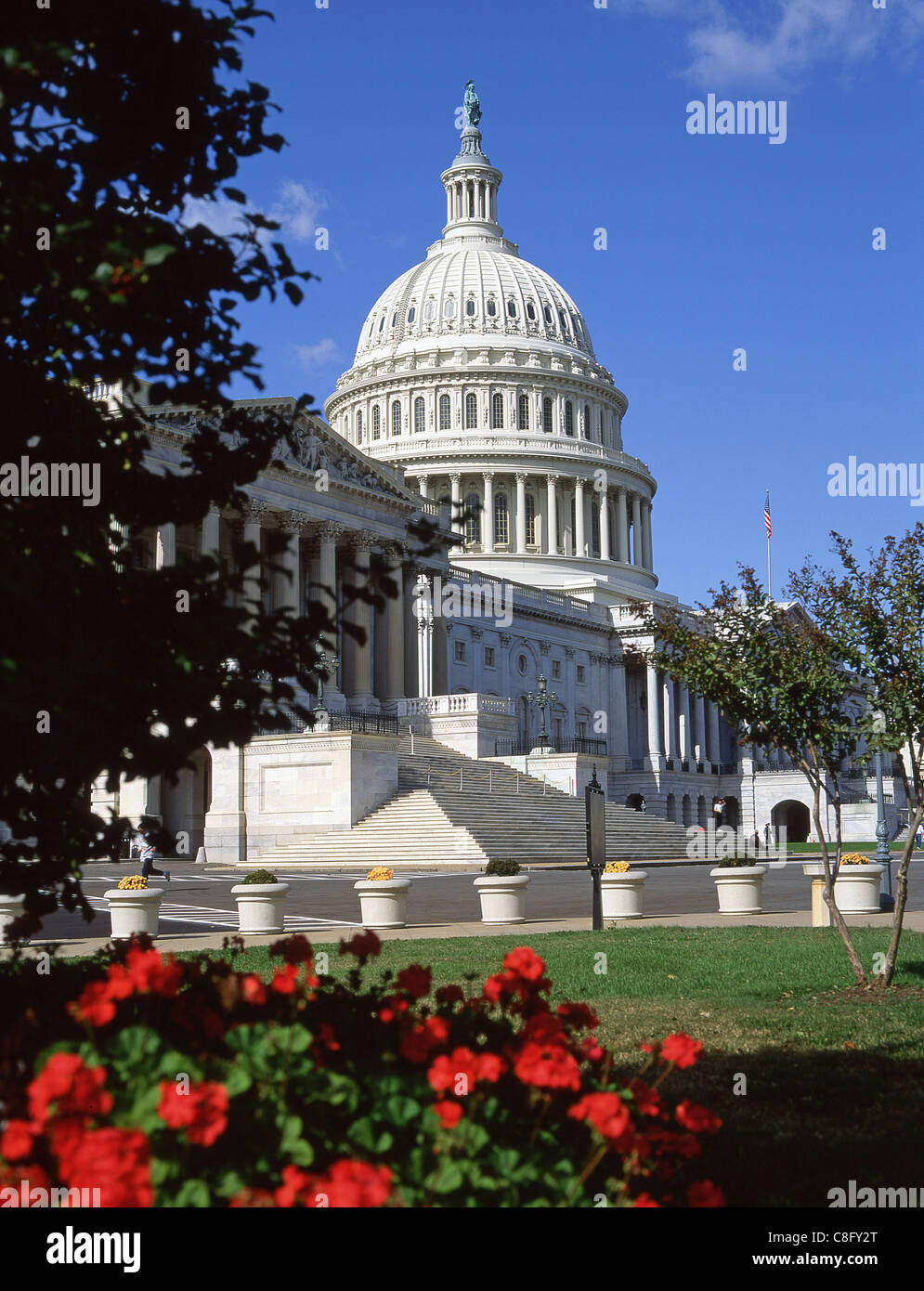 La United States Capitol Building, Capitol Hill, Washington DC, Stati Uniti d'America Foto Stock
