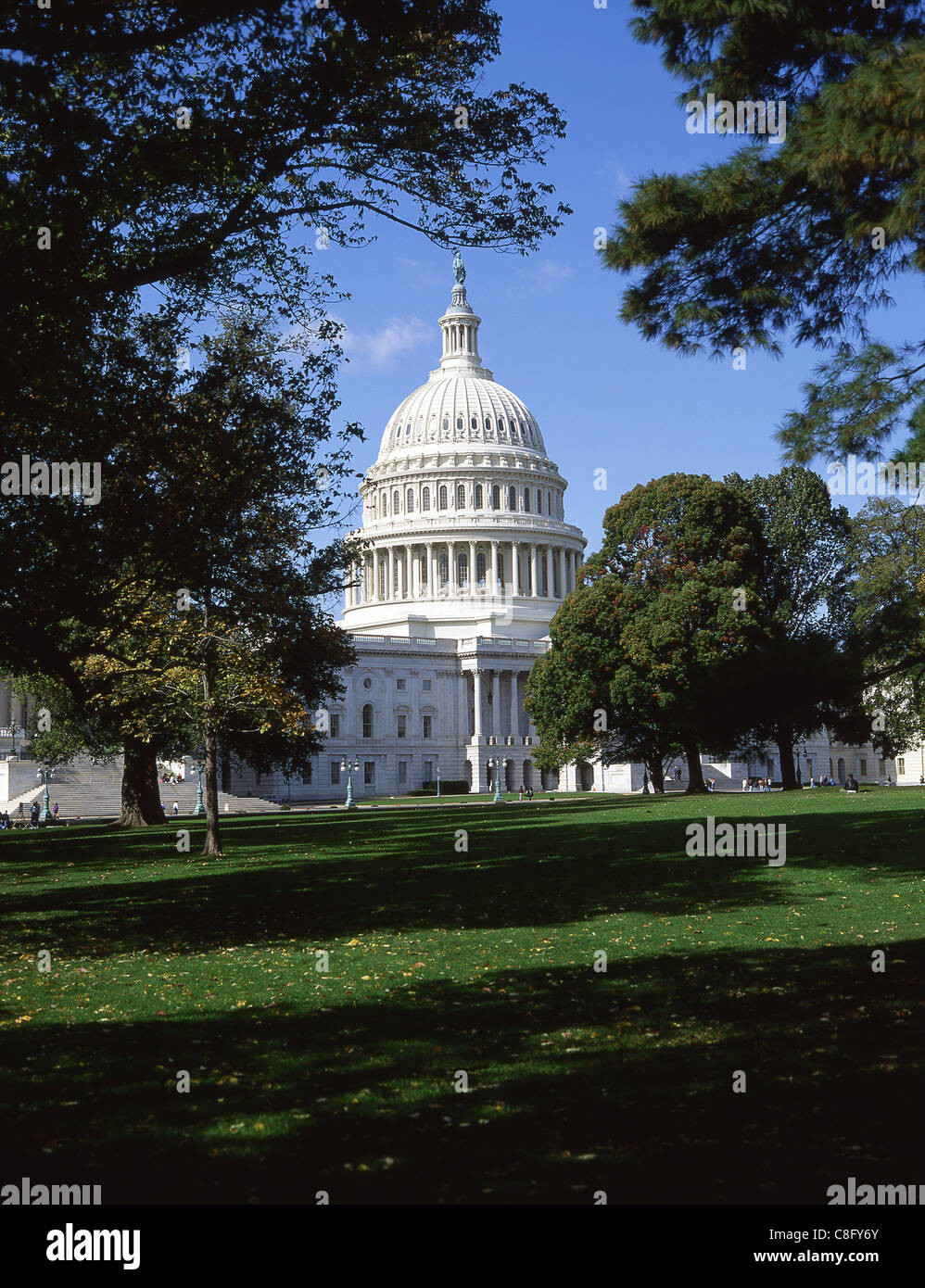 La United States Capitol Building, Capitol Hill, Washington DC, Stati Uniti d'America Foto Stock