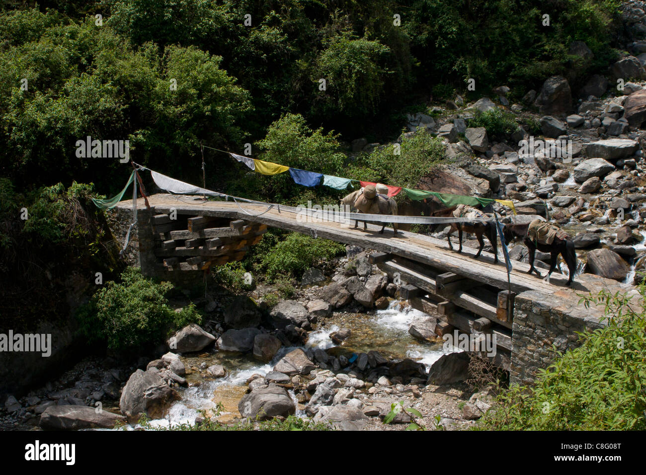 Pack pony attraversando un ponte remota vicino Gasa Foto Stock