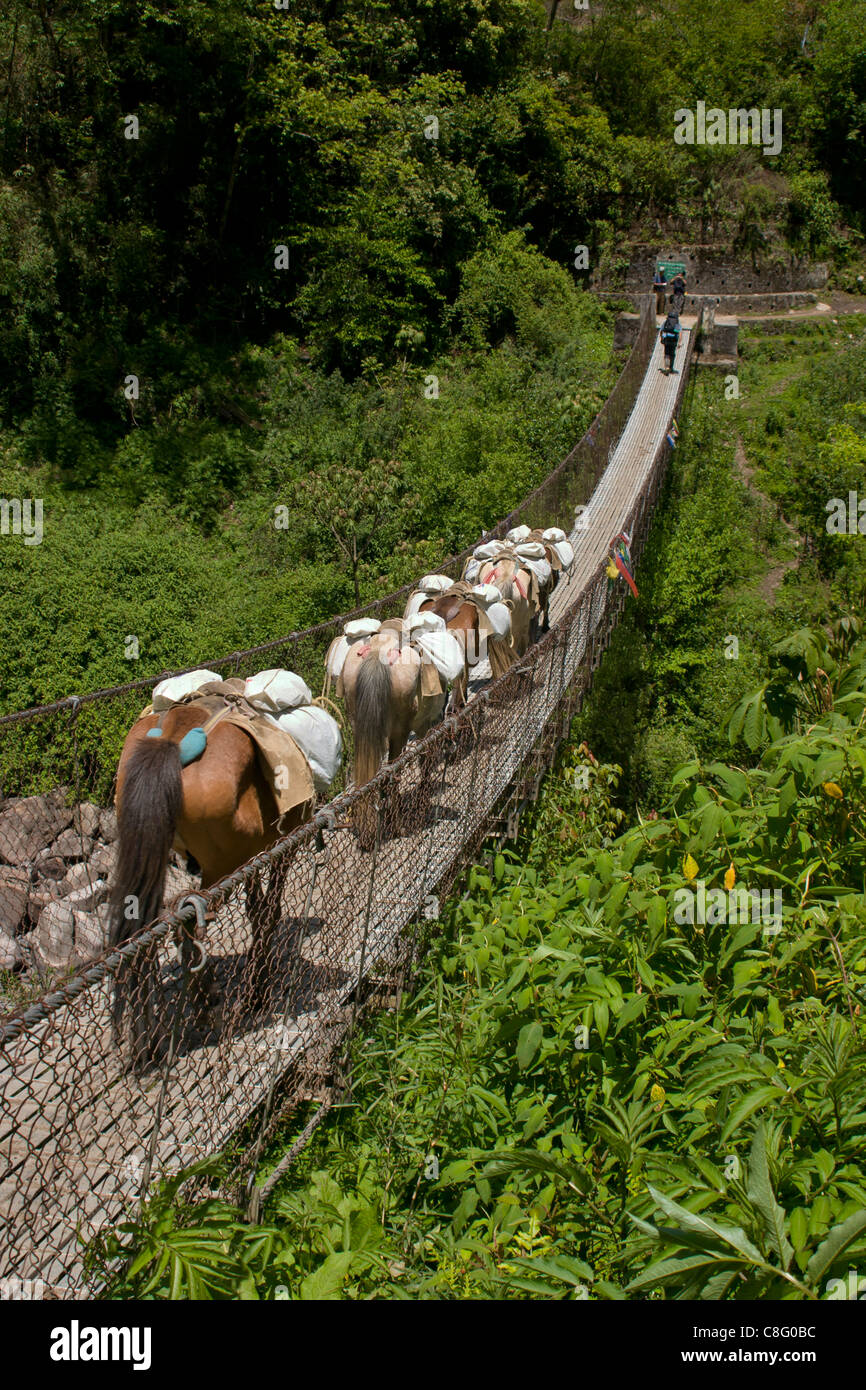 Pack pony e un escursionista camminando su un ponte di sospensione in Bhutan Foto Stock