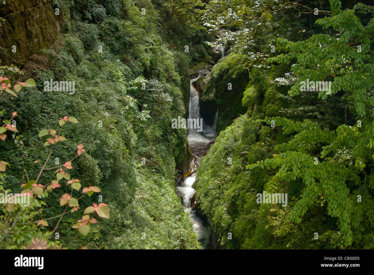 Ruscello di montagna lungo la via sottostante Gasa village Foto Stock