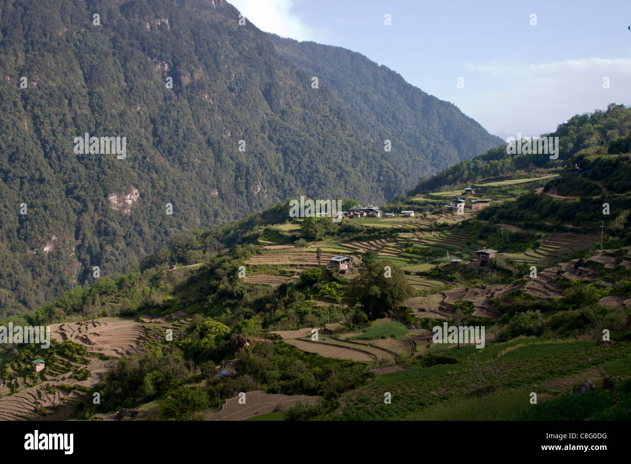 Terreni coltivati a terrazze sotto Gasa villaggio con una ripida montagna e valle Foto Stock