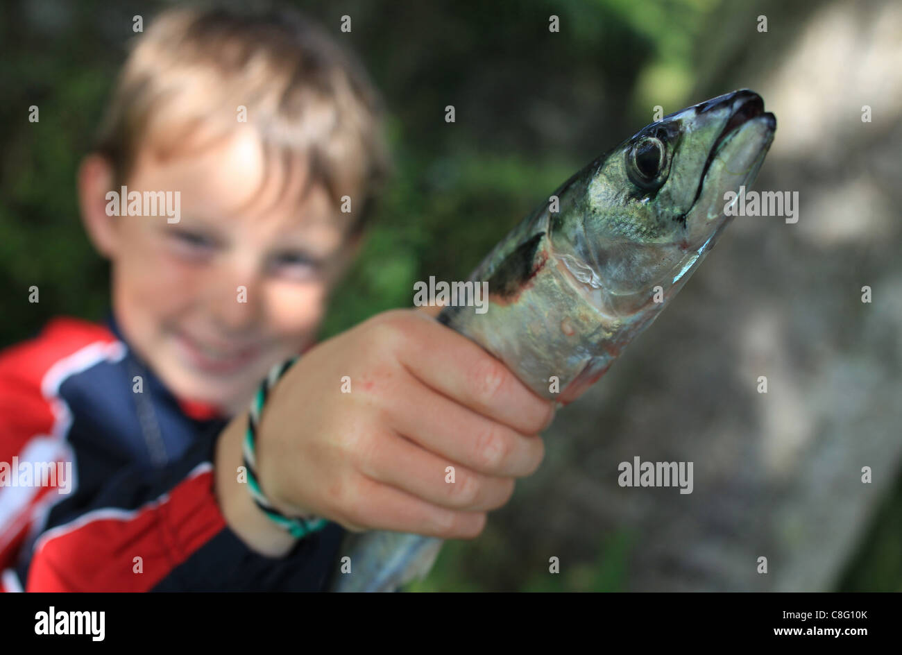 I bambini la pesca e il campeggio all'aperto Foto Stock