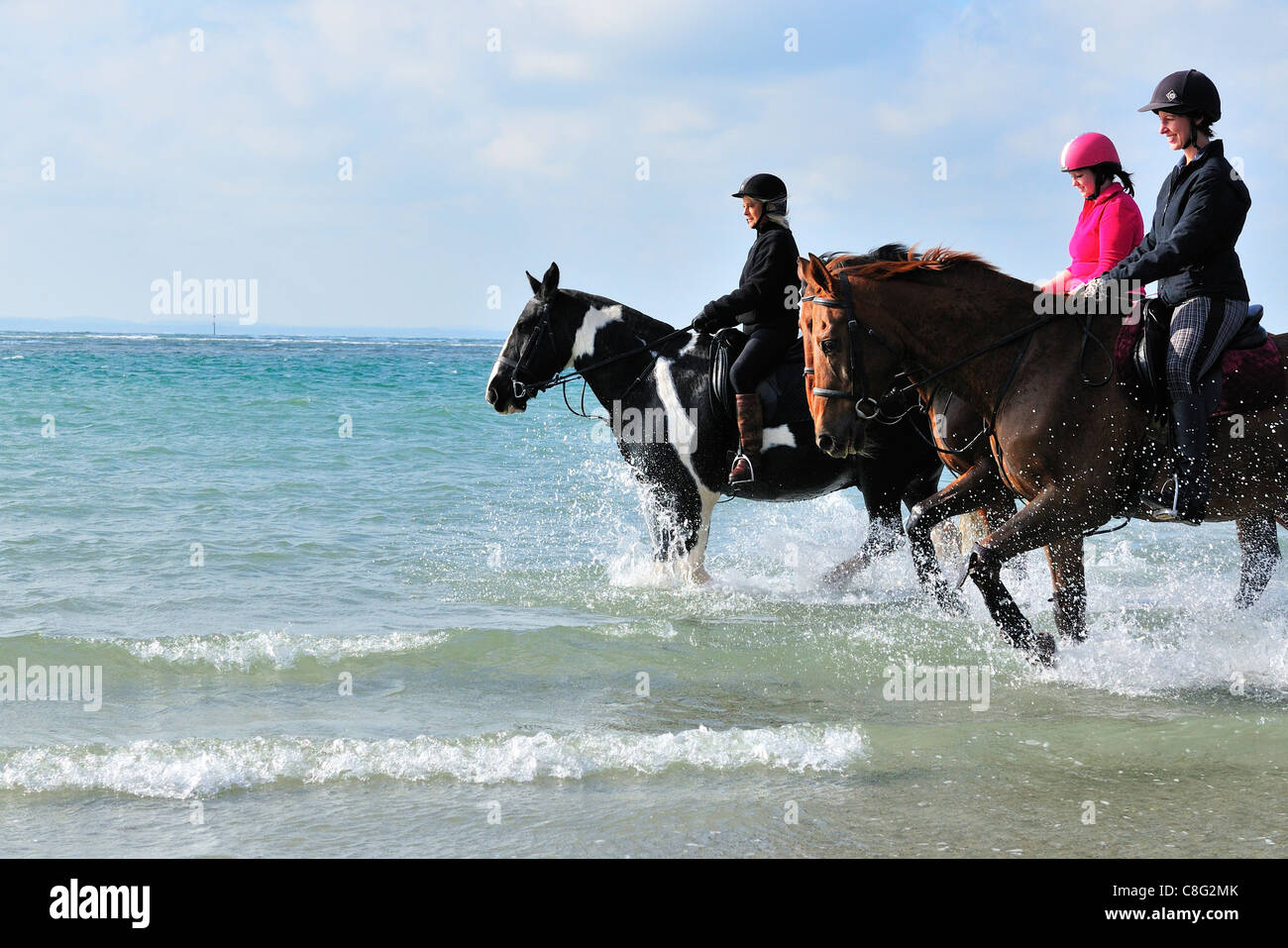 Cavalli godendo la passeggiata in mare con la bassa marea lungo la lunghezza del West Wittering beach. Foto Stock