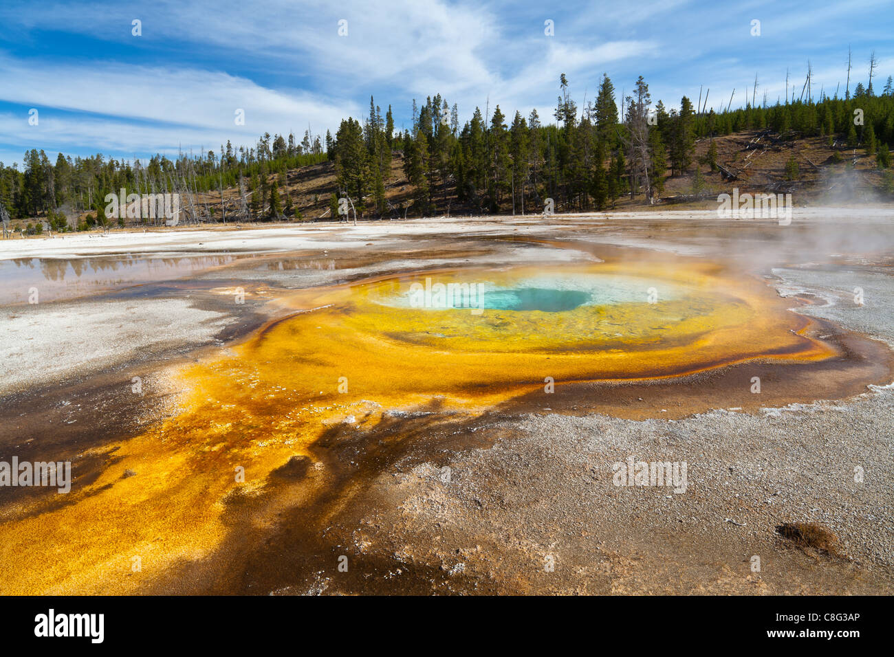 Piscina cromatica nel Parco Nazionale di Yellowstone Foto Stock