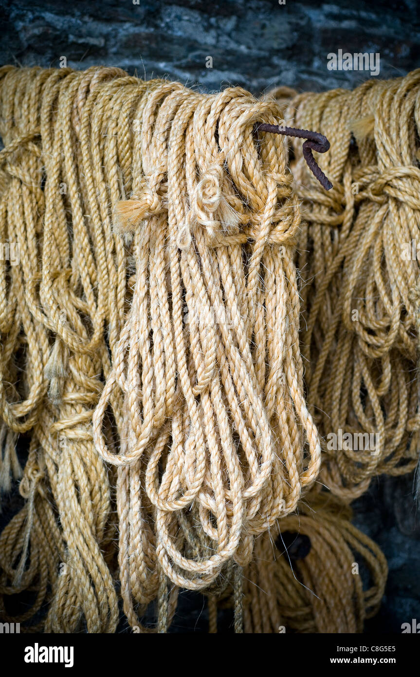 Fasci di corda,, cavo, vestiti, stendibiancheria, raccolta, concetto, collegamento, costruzione, intaglio, dettaglio, edge, attrezzature, f Foto Stock