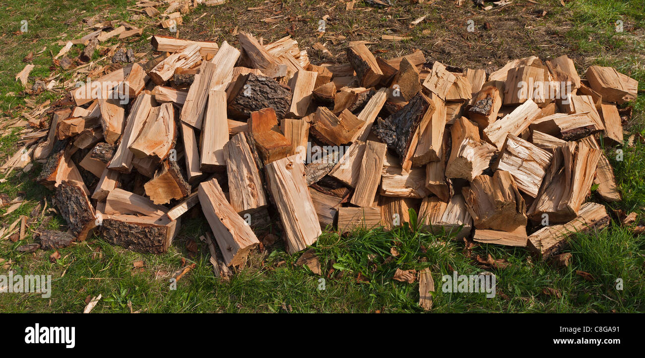 La combustione del legno combustibile da un vecchio albero, pile di tronchi da spaccare per caminetti e bruciatori a legna per il riscaldamento di case Foto Stock