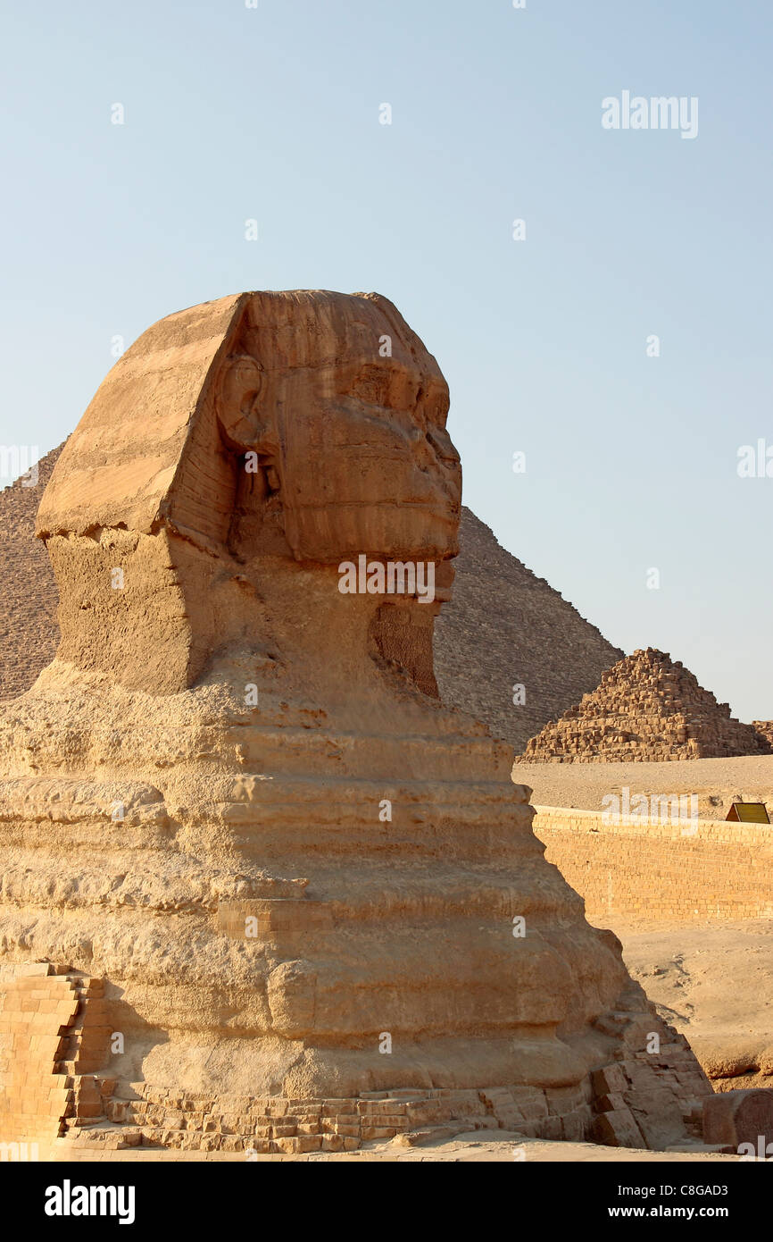 Il Sphynx, Giza Foto Stock