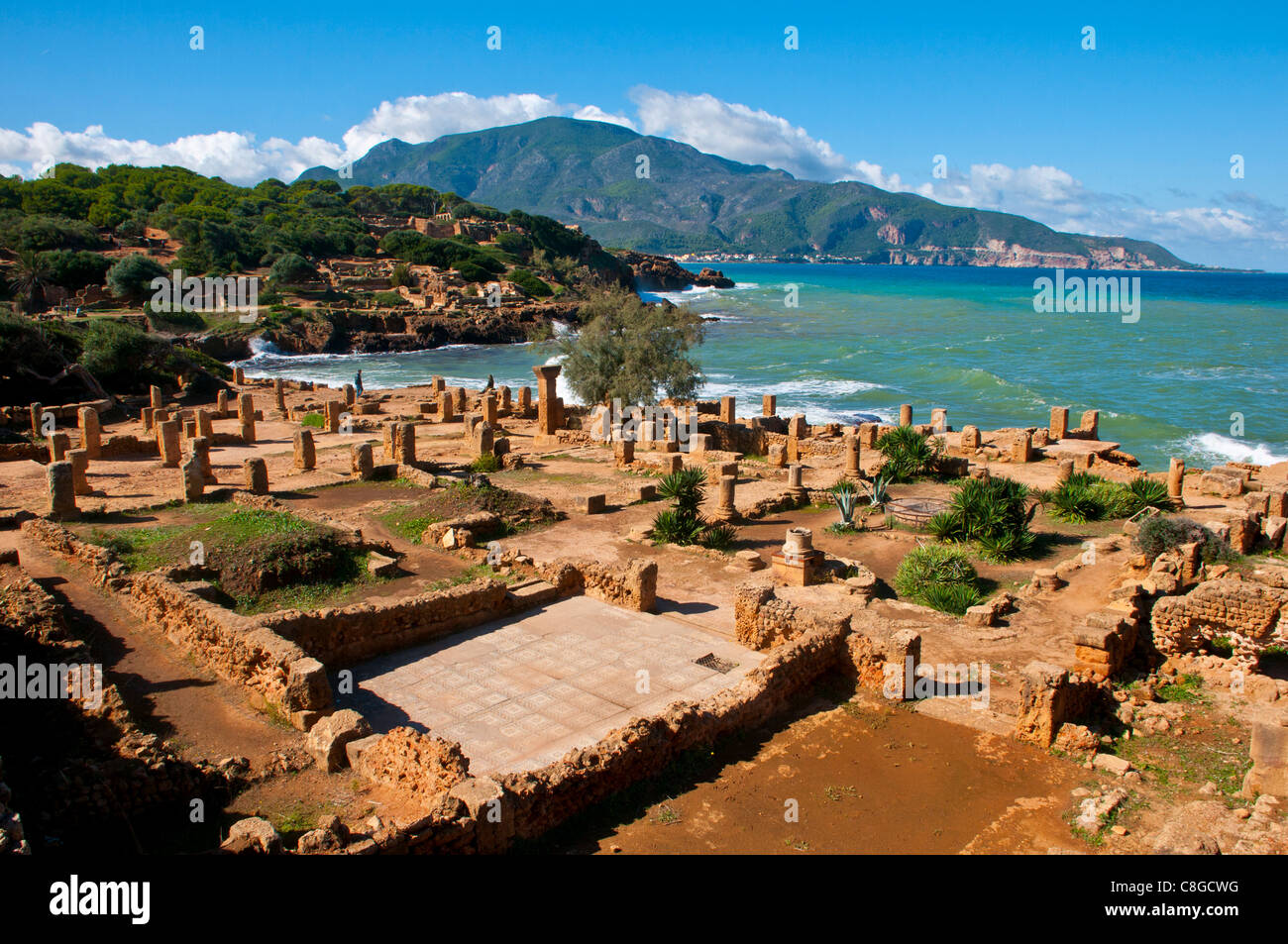 Le rovine romane di Tipasa, Sito Patrimonio Mondiale dell'UNESCO, sulla costa algerina, Algeria, Nord Africa Foto Stock