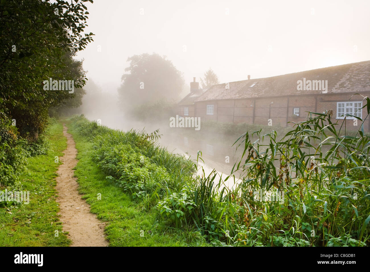 Inizio autunno misty dawn, fiume Wey, Pyrford, Surrey, Regno Unito. Foto Stock