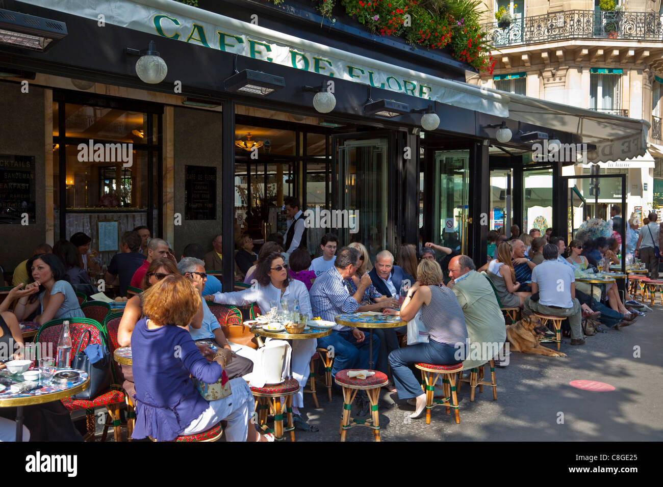 Café de Flore, Saint-Germain-des-Pres, sulla riva sinistra di Parigi, Francia Foto Stock