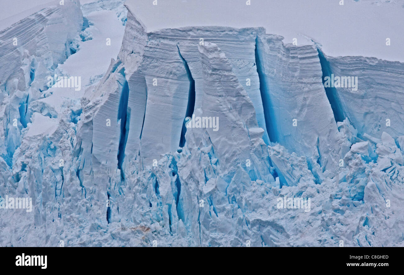 Lastra di ghiaccio, Penisola Antartica Foto Stock