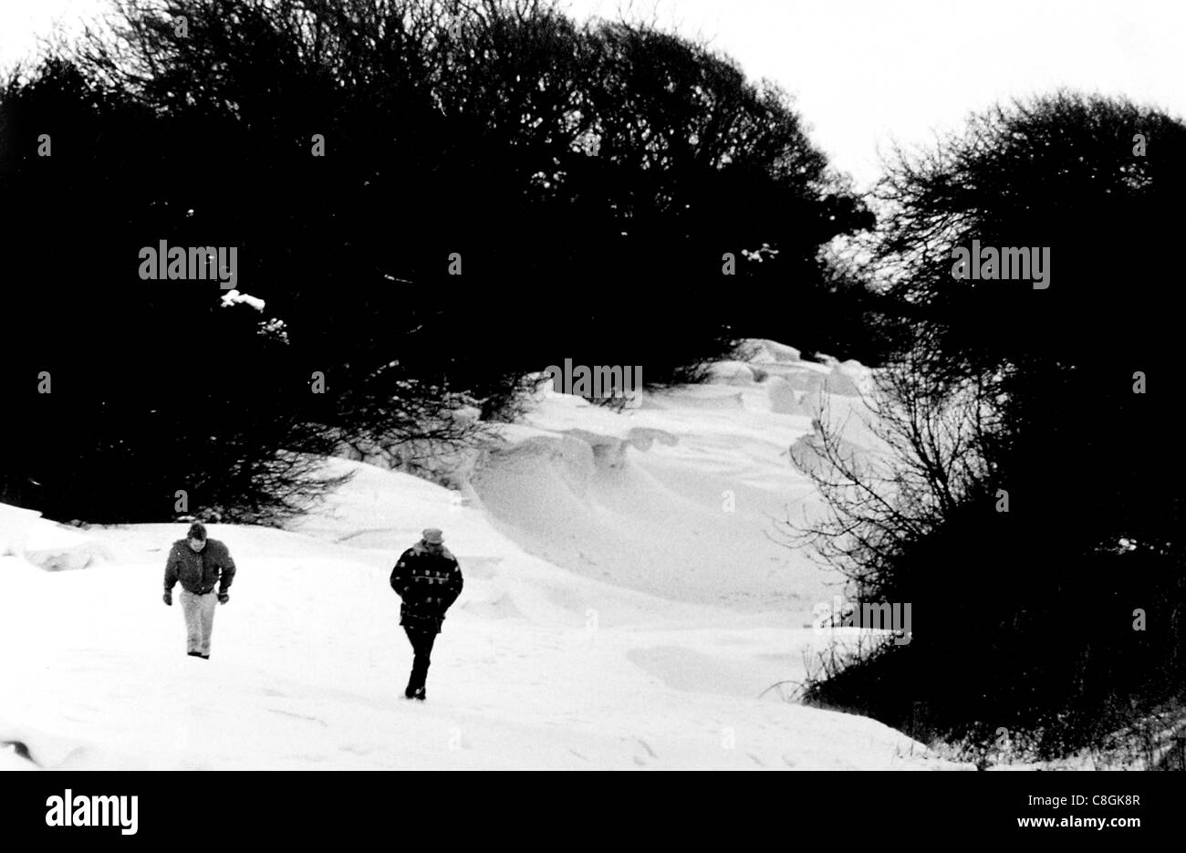 Due escursionisti trudge attraverso la neve si sposta lungo la strada Falmer vicino a Brighton 1987 Foto Stock
