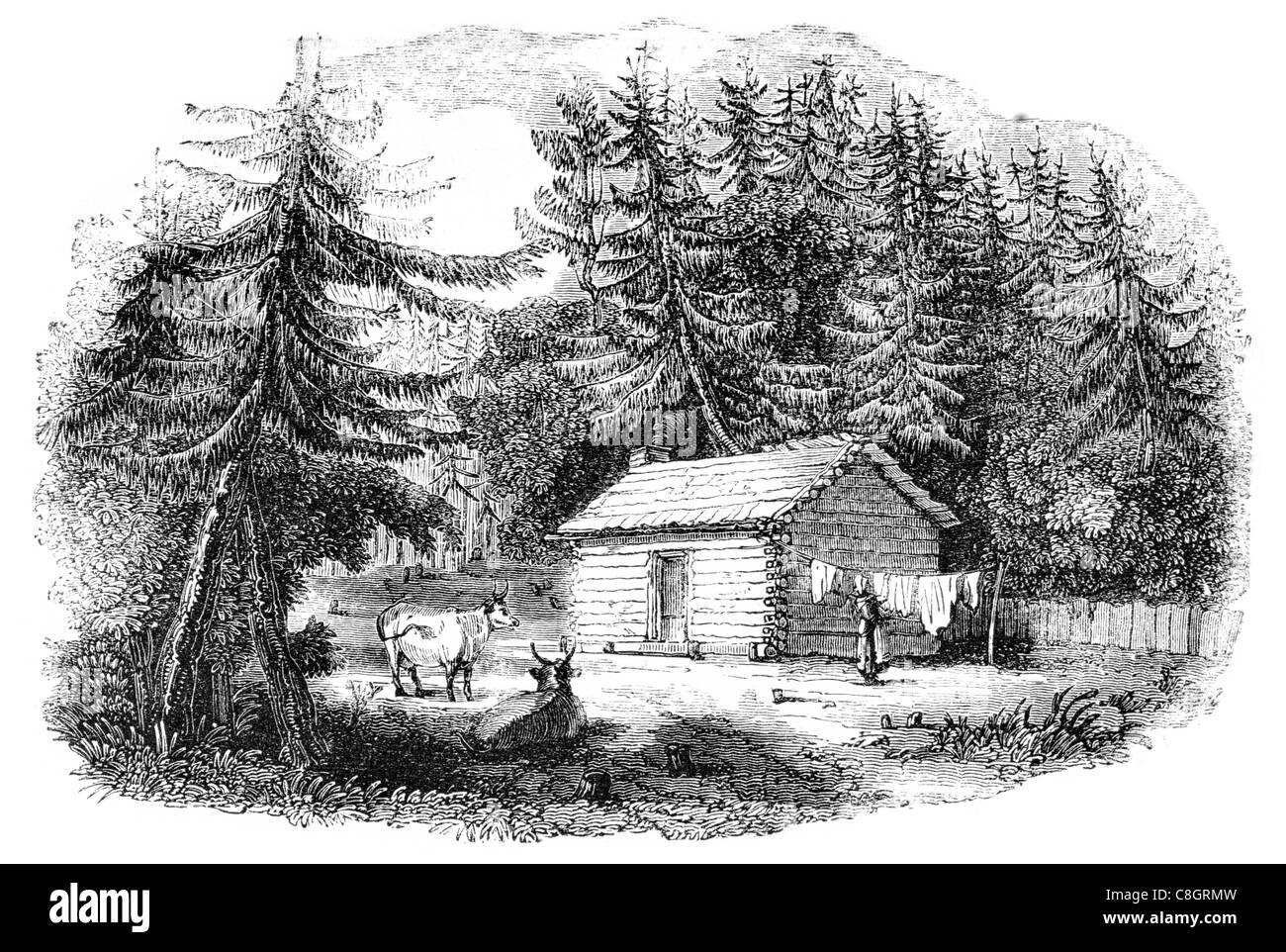 Registro canadese home casa dei registri di cabina rustica caccia log cabin village città prairie carro trainato da cavalli architettura di Colonia Foto Stock
