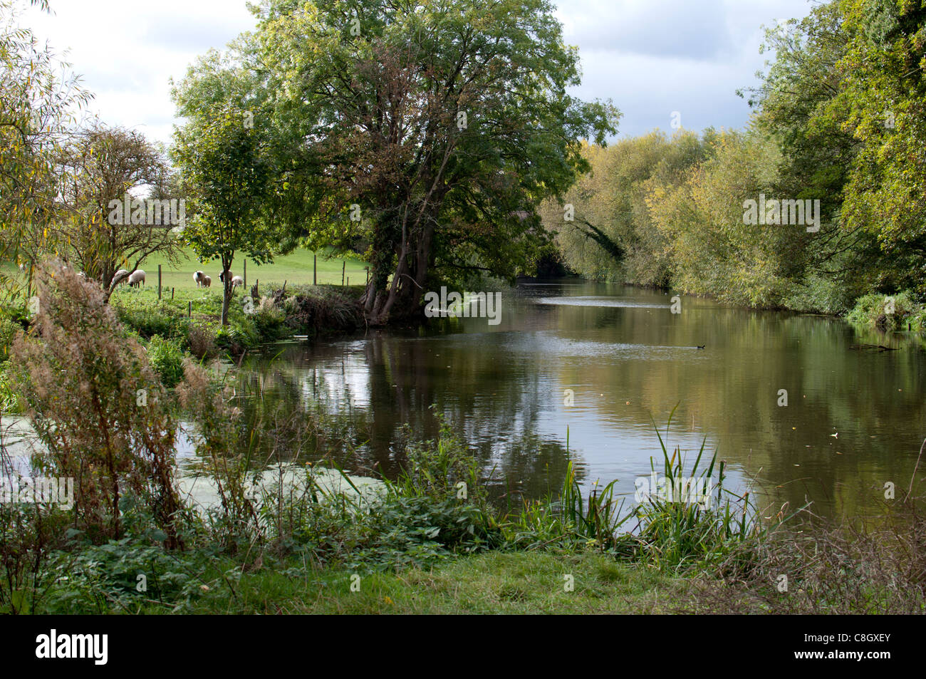 Combinazione di fiume apprendere e fiume Avon, Leamington Spa, Regno Unito Foto Stock