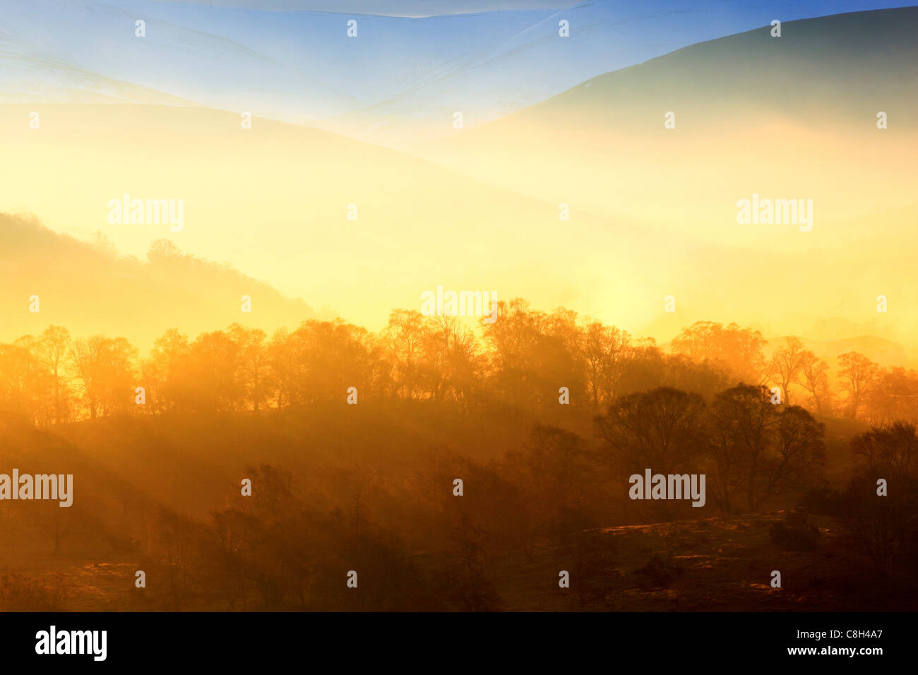 , Cairngorms National Park, Glenlivet station wagon, altopiani, highland, mattina, nazionale, parco, nebbia, nebbia patch, andane, Scozia, s Foto Stock