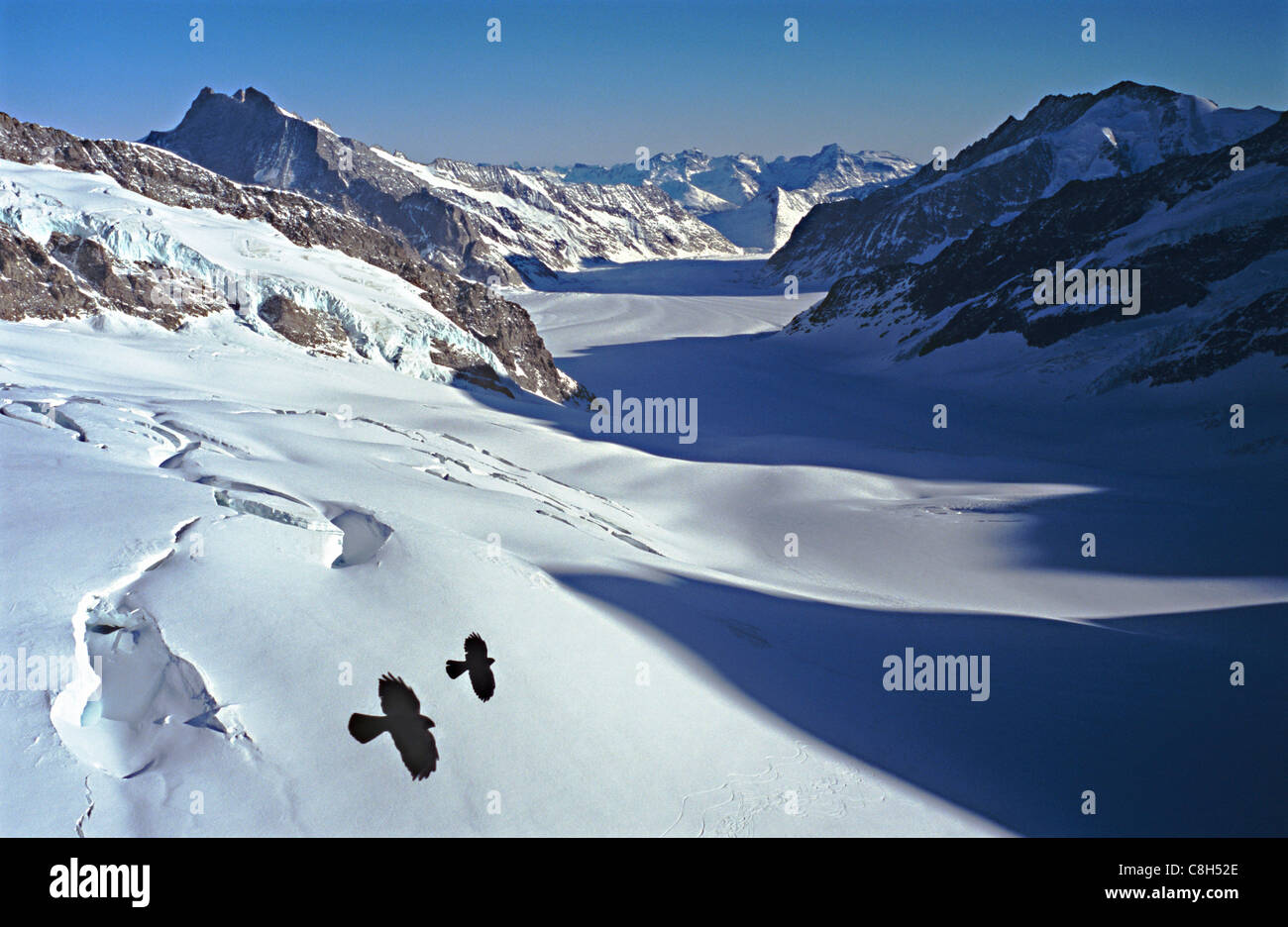 Jungfraujoch, Svizzera, Canton Berna, Berner Oberland, Oberland bernese, Alte Alpi, Alpi Bernesi, ghiacciaio, ghiaccio, ghiaccio perpetuo, Foto Stock