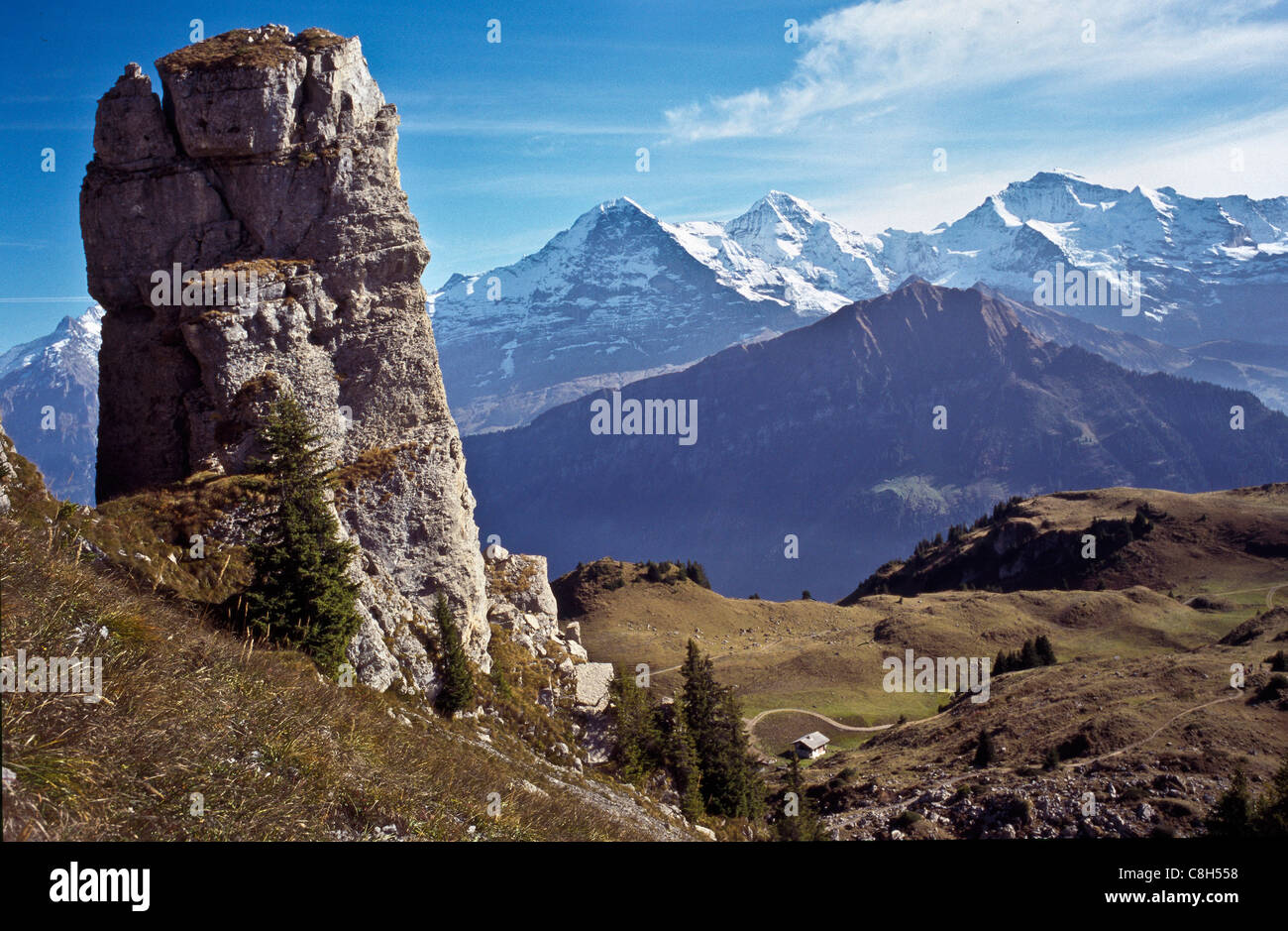 Schynige Platte, Svizzera, canton Berna Oberland Bernese, Alpi Alpi Bernesi, montagna, alte montagne, ad alta altitudine mountai Foto Stock