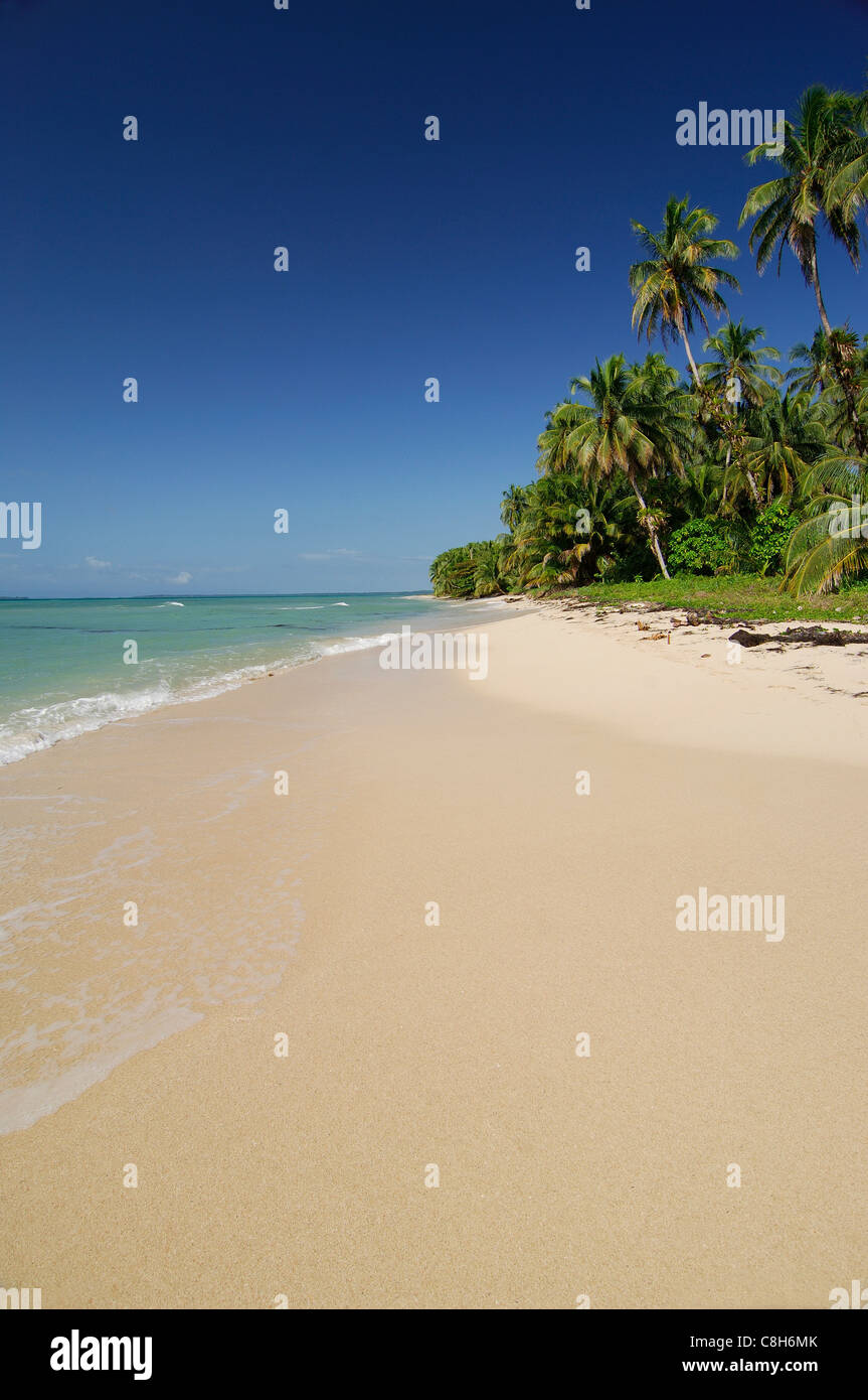 Spiaggia tropicale, arcipelago di San Blas, Panama - foto di archivio Foto Stock