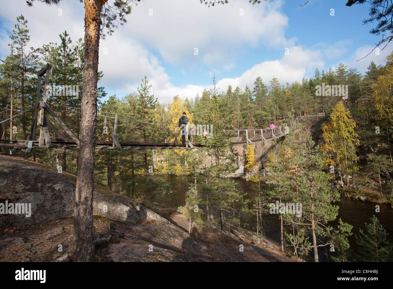 Ponte di sospensione in Repovesi parco nazionale di Finlandia Europa Foto Stock