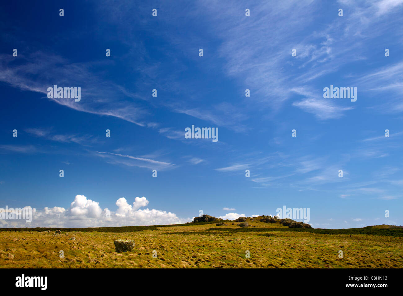 Isola di Skomer il paesaggio è sotto un cielo estivo Foto Stock