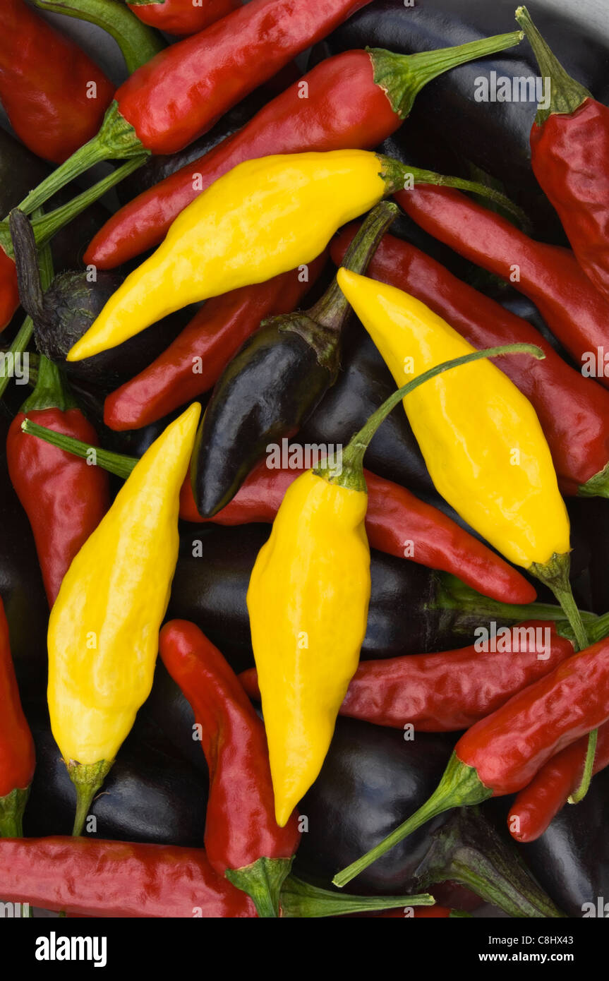 Peperoni caldi Foto Stock