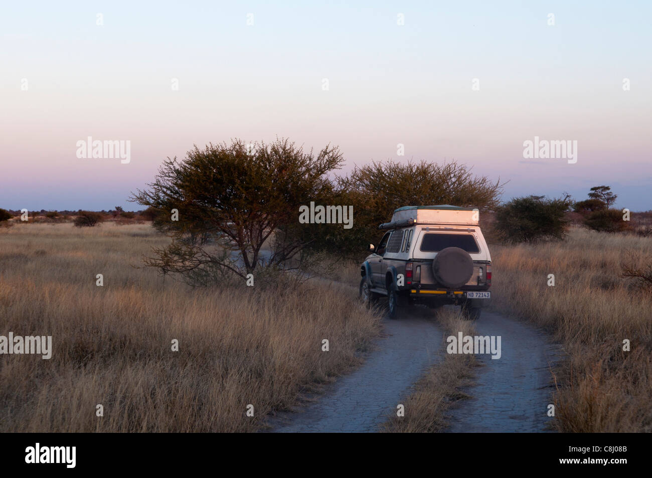 Deception Valley, riserva centrale del Kalahari, in Botswana. Foto Stock