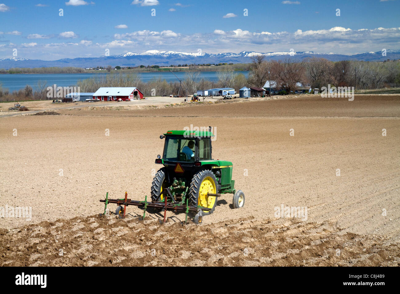 Trattore corrugates di taglio nel campo per irrigazione vicino al lago di Lowell in Canyon County, Idaho, Stati Uniti d'America. Foto Stock
