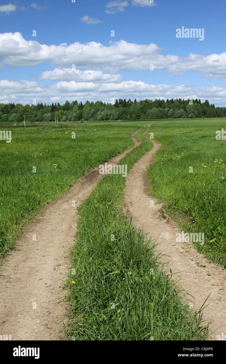 Una strada di campagna attraverso un campo, Russia Foto Stock