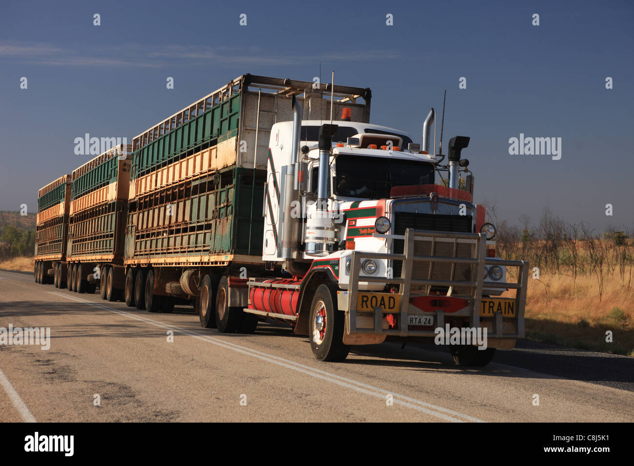 Road train, Australia, Outback, verso il basso, sotto al carrello, gigantesche, gigante Foto Stock