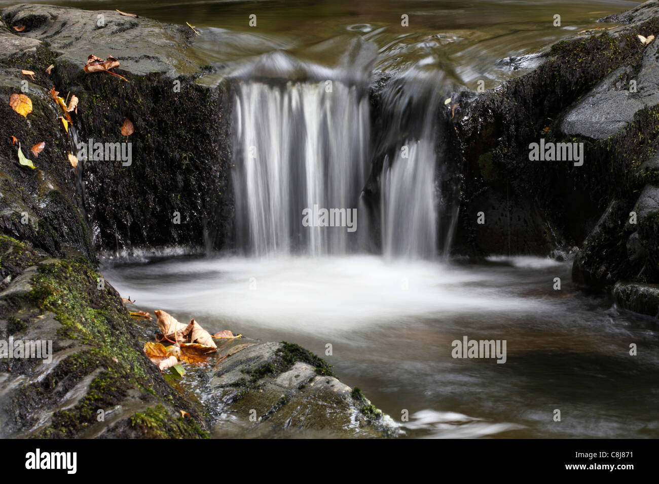 "Aira Beck", "vicino" della cascata di acqua nel flusso di bosco, "Aira Force', 'Lake District', Cumbria, England, Regno Unito Foto Stock