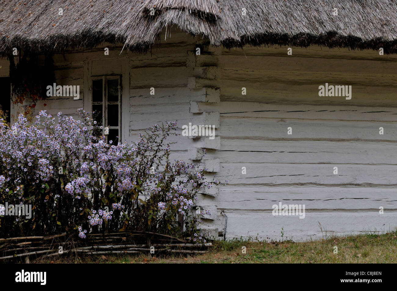 Vecchie case agricole a Wygielzow Museo etnografico in Polonia Foto Stock