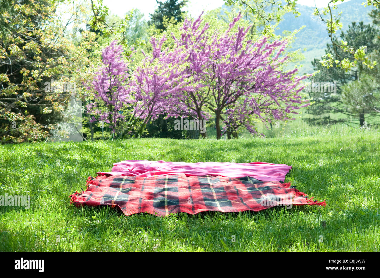 Coperta da picnic Foto Stock