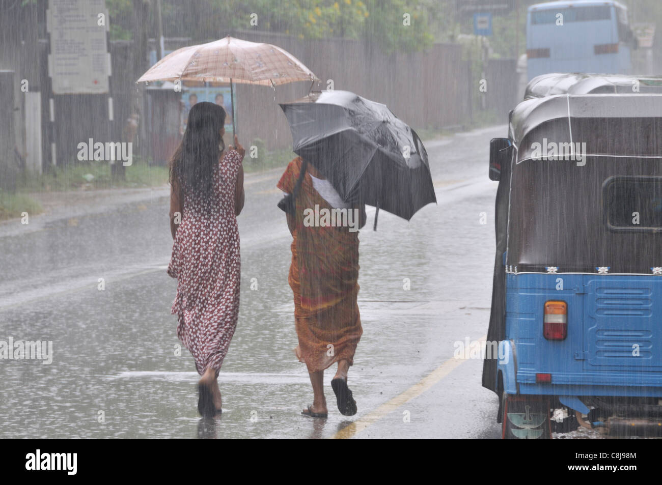Asia, Ceylon, donne, mogli, monsone, pioggia, precipitazione, umidità, umidità, pioggia, ombrello, protezione contro la pioggia, meteo, pioggia Foto Stock