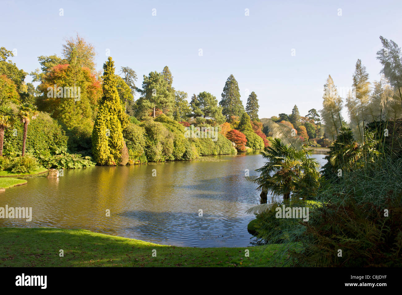 Bellissimi colori autunnali in Sheffield Park Sussex England Foto Stock