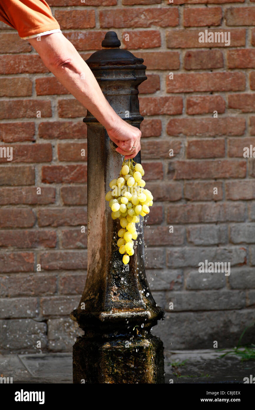 L'uomo il risciacquo un grappolo di uva verde sotto un rubinetto di acqua, Venezia Italia Foto Stock