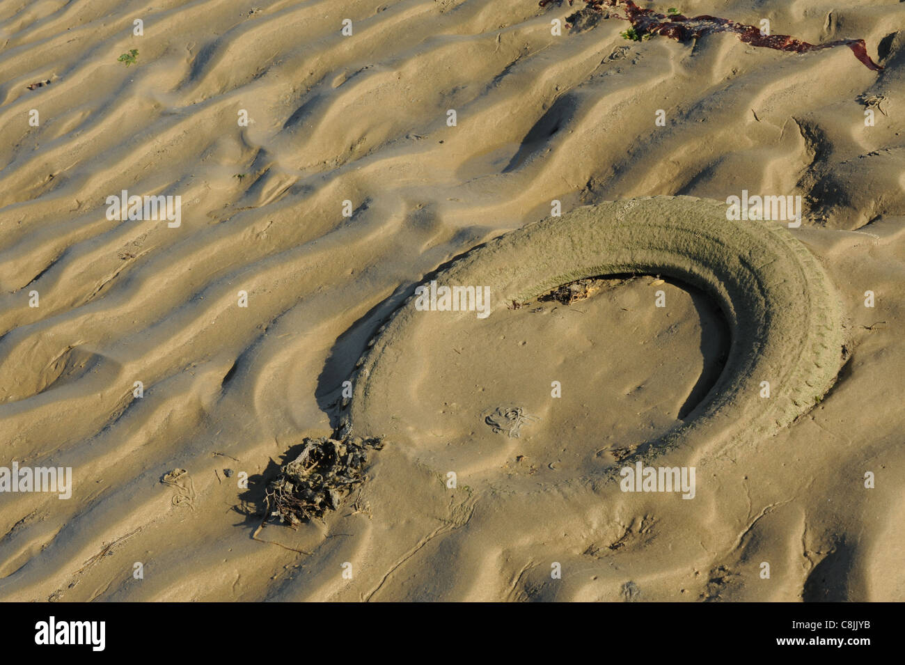Fotografia di un pneumatico autovettura sepolto nella sabbia sulla spiaggia Foto Stock