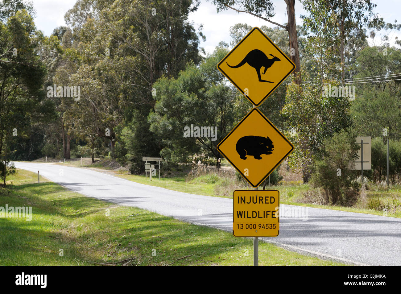 Canguro e Wombat cartello stradale fotografato in Victoria, Australia Foto Stock