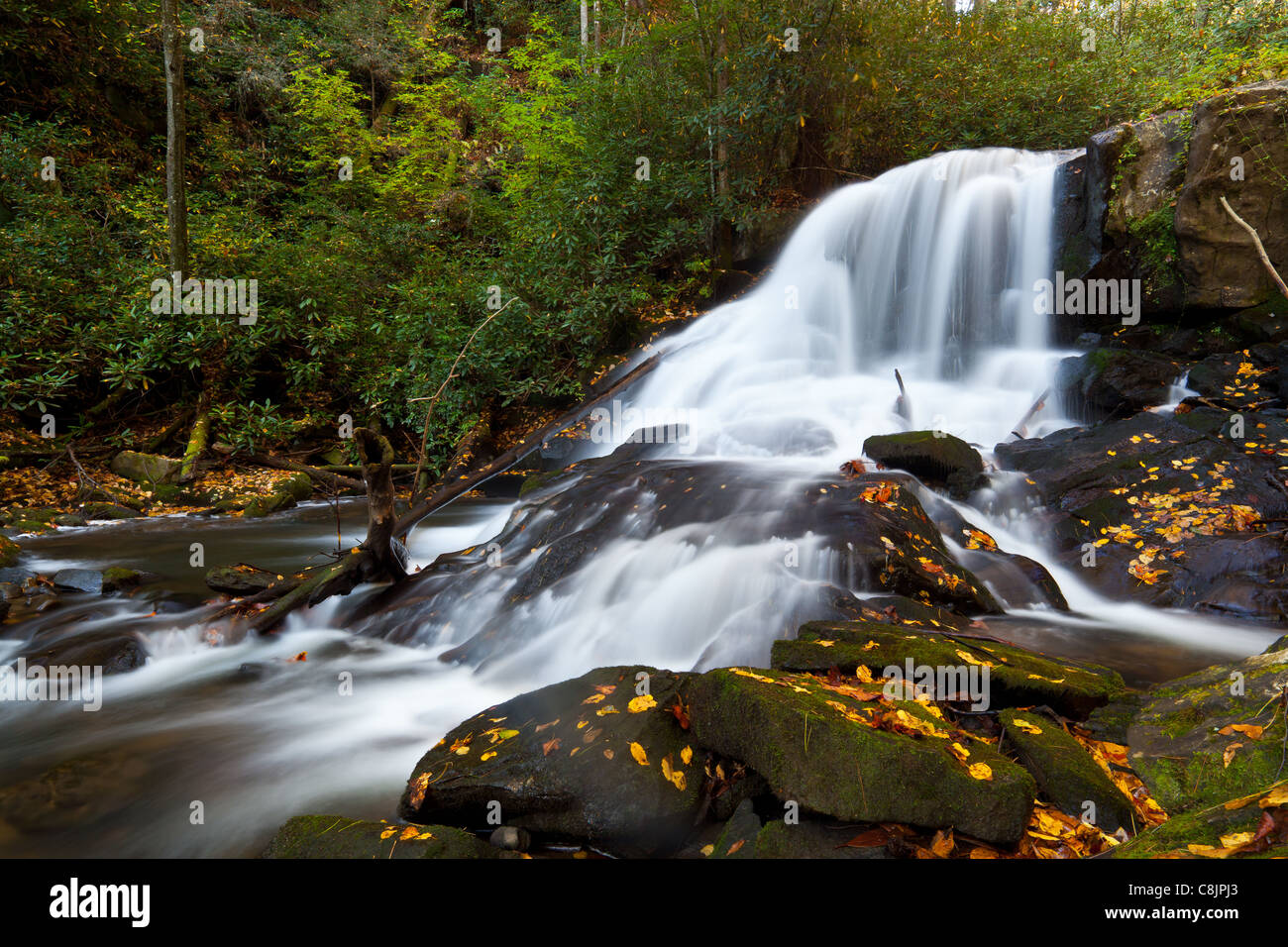 Wildcat Creek Falls vicino al lago di Burton in Georgia Foto Stock