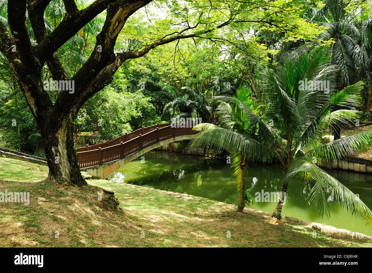 Giardini del Lago (Taman Tasik Perdana), Kuala Lumpur, Malesia Foto Stock