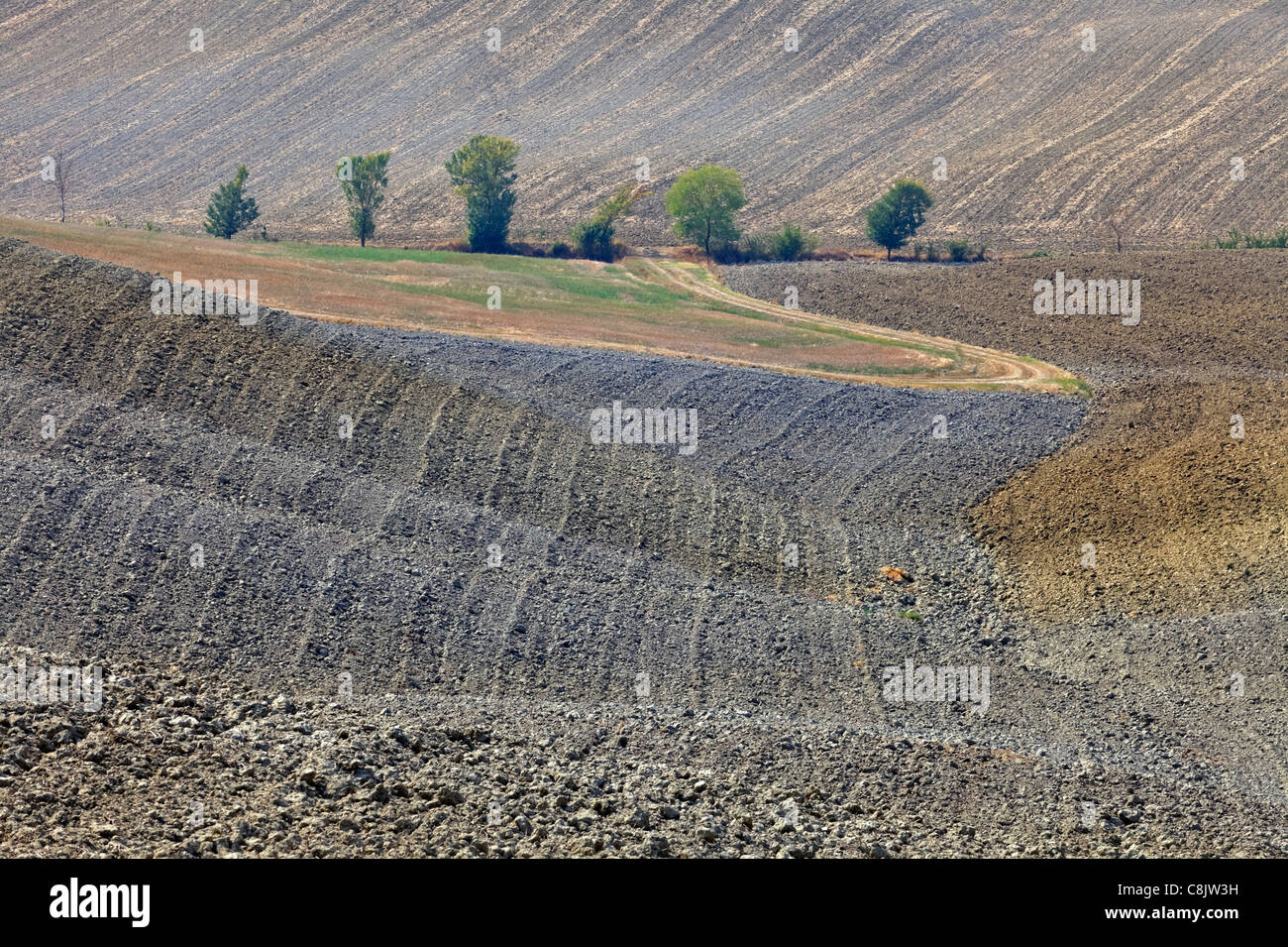 Le onde dei campi in Toscana Foto Stock