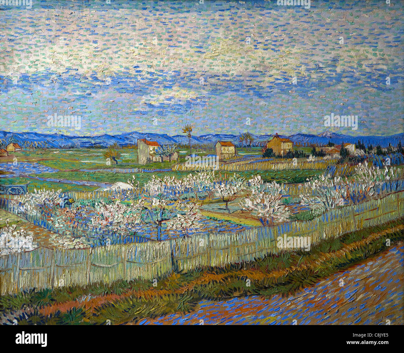 La Crau with Peach Trees in Blossom, di Vincent van Gogh, 1889, Courtauld Gallery, Londra, Inghilterra, Regno Unito, GB, Foto Stock